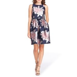 ASL Rose Jacquard Fit Flare Dress, Navy/Blush Size 16